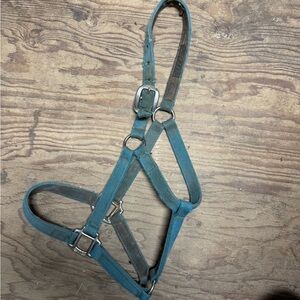 Blue nylon horse halter equestrian